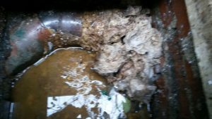 Spurgo pozzi neri quanto costa?